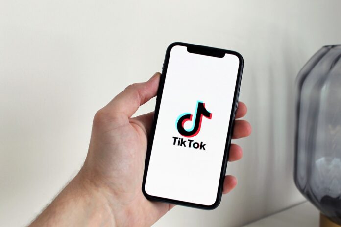 leads B2B tiktok